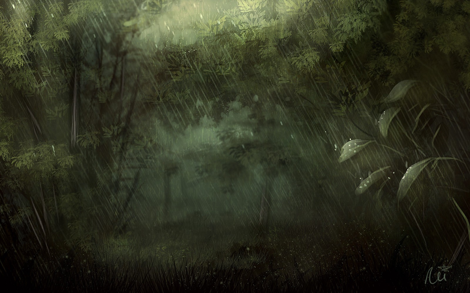 rain, Forest, Nature Wallpaper