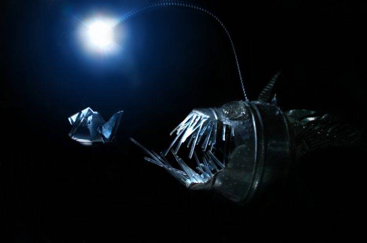 Anglerfish, Deep sea, Creature, Fish HD Wallpaper Desktop Background