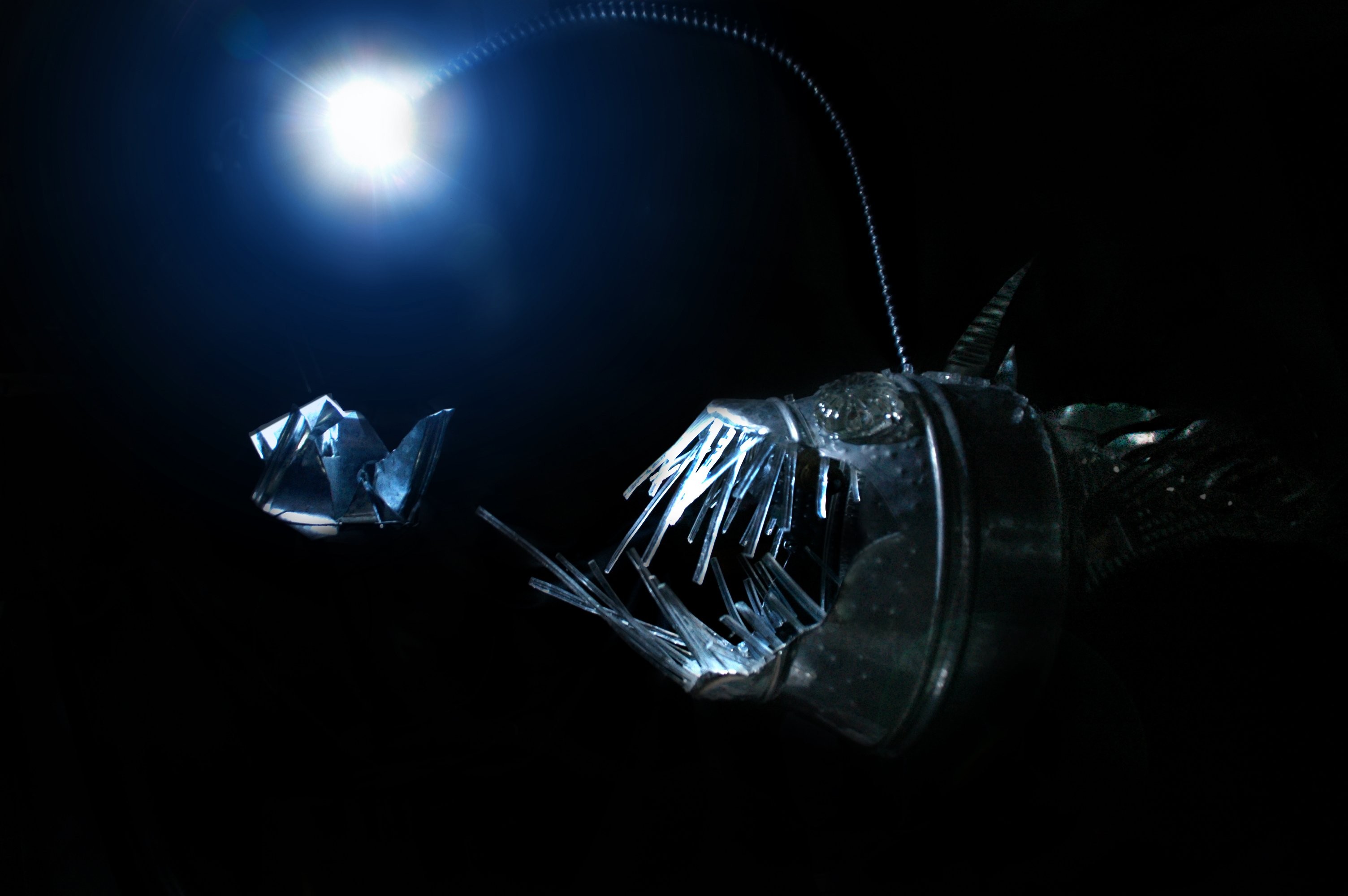 Anglerfish, Deep sea, Creature, Fish Wallpaper