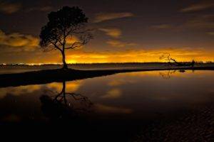 trees, Alone, Water, Clouds, Sunset, Photography