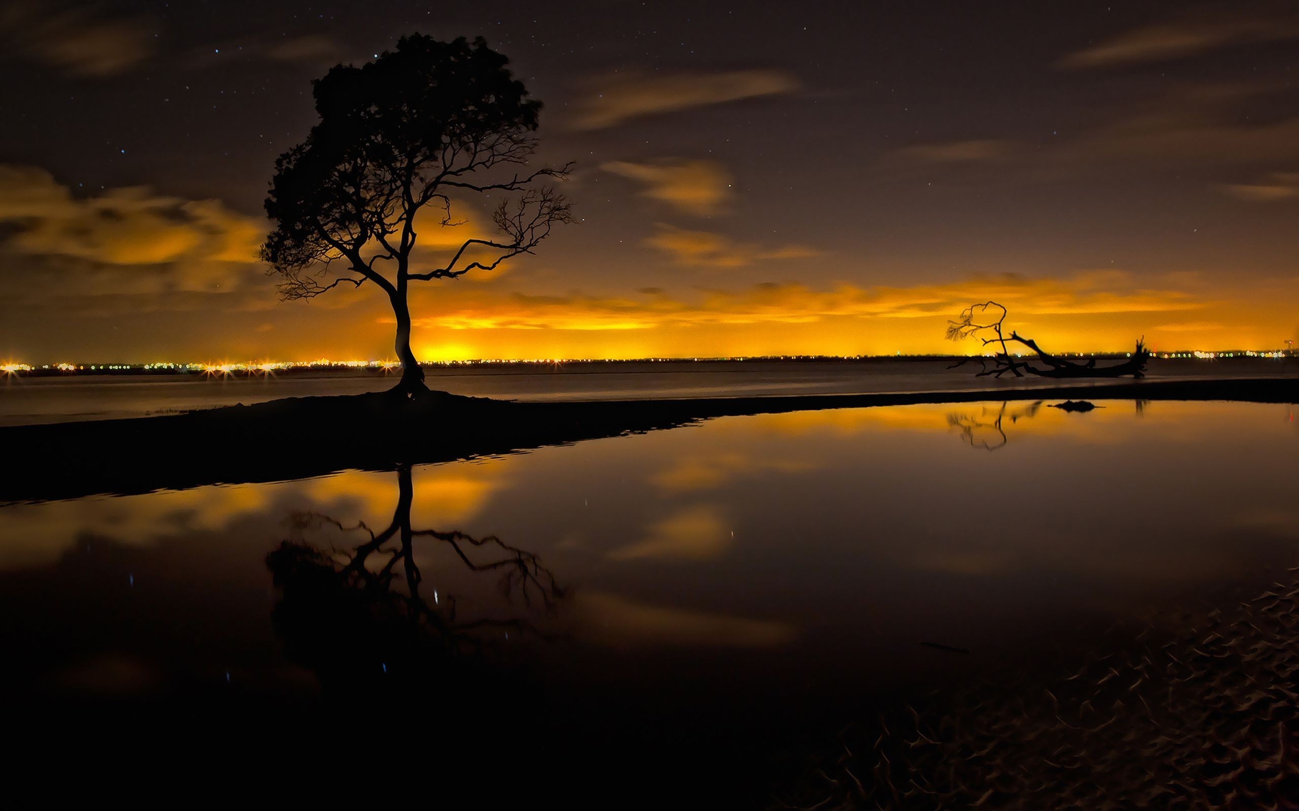 trees, Alone, Water, Clouds, Sunset, Photography Wallpaper