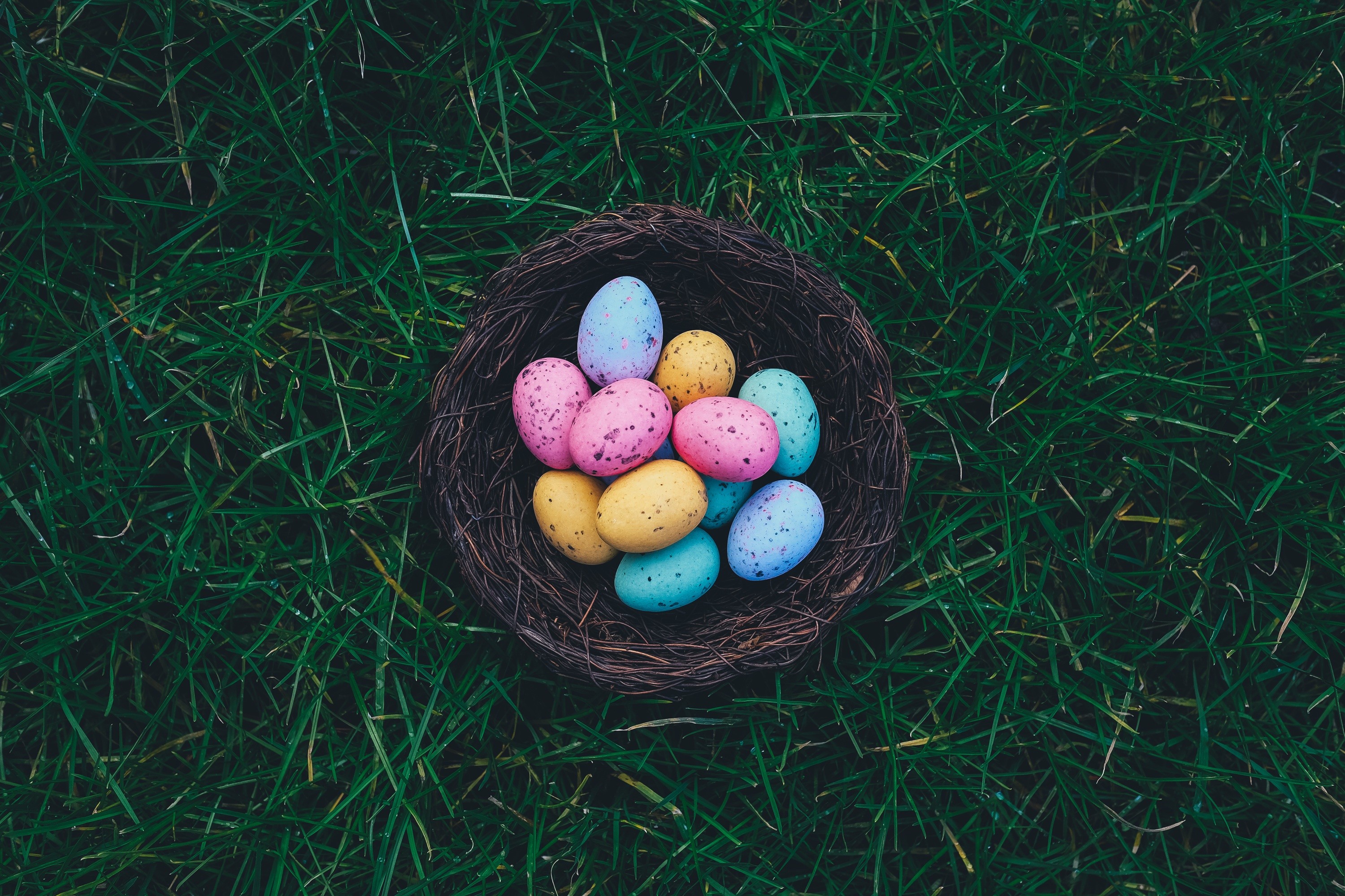 baskets, Eggs, Grass, Easter, Easter eggs, Nests Wallpaper