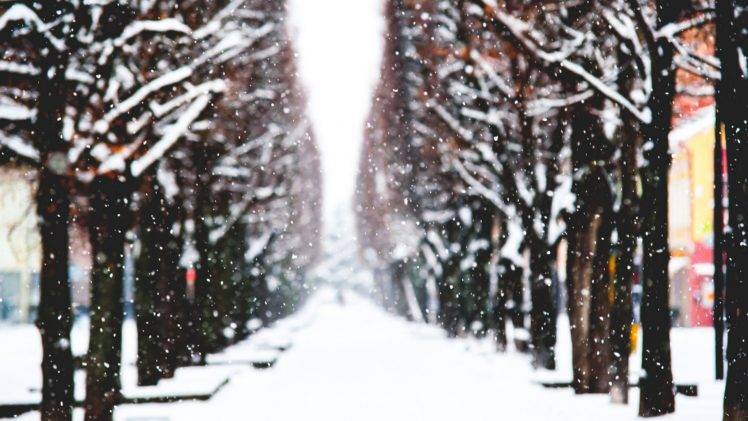 trees, Snow, Winter, Blurred, Nature HD Wallpaper Desktop Background