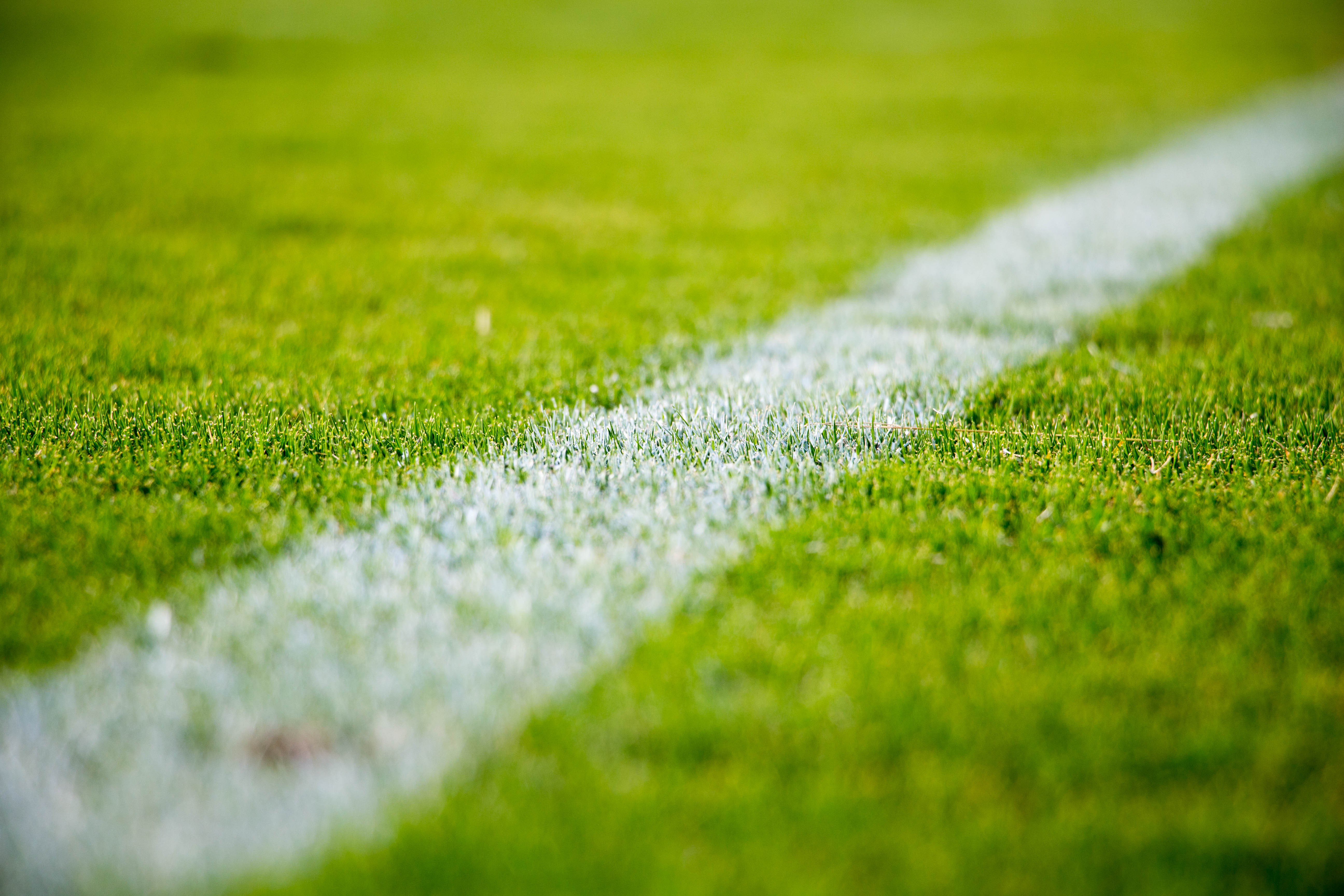 grass, Soccer Field Wallpaper