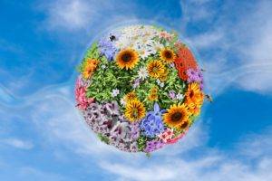 photo manipulation, Nature, Flowers, Leaves, Sunflowers, Bees, Sphere, Sky, Clouds, Colorful