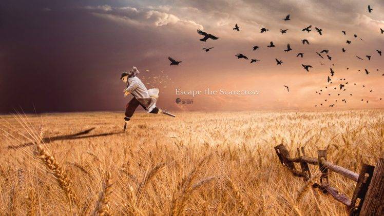 scarecrows, Sky, Wheat, Crow HD Wallpaper Desktop Background