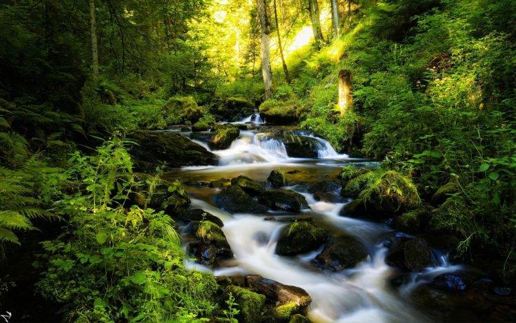 nature, River, Trees, Forest HD Wallpaper Desktop Background