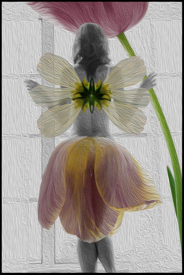 fairies, Flowers, Tulips HD Wallpaper Desktop Background