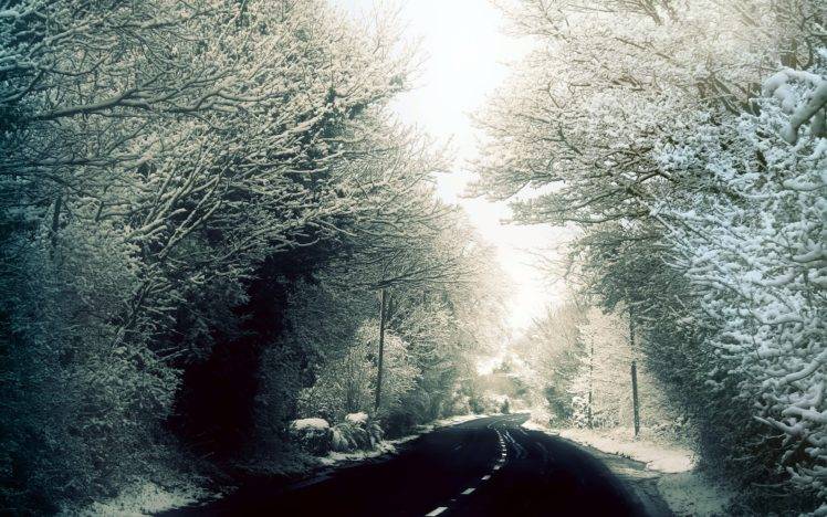 road, Winter, Snow, Trees HD Wallpaper Desktop Background