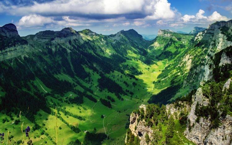 nature, Switzerland, Wood HD Wallpaper Desktop Background