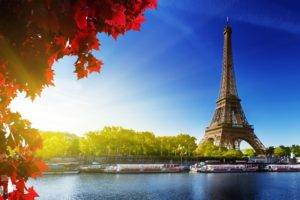 Eiffel Tower, City, Nature, France, Paris