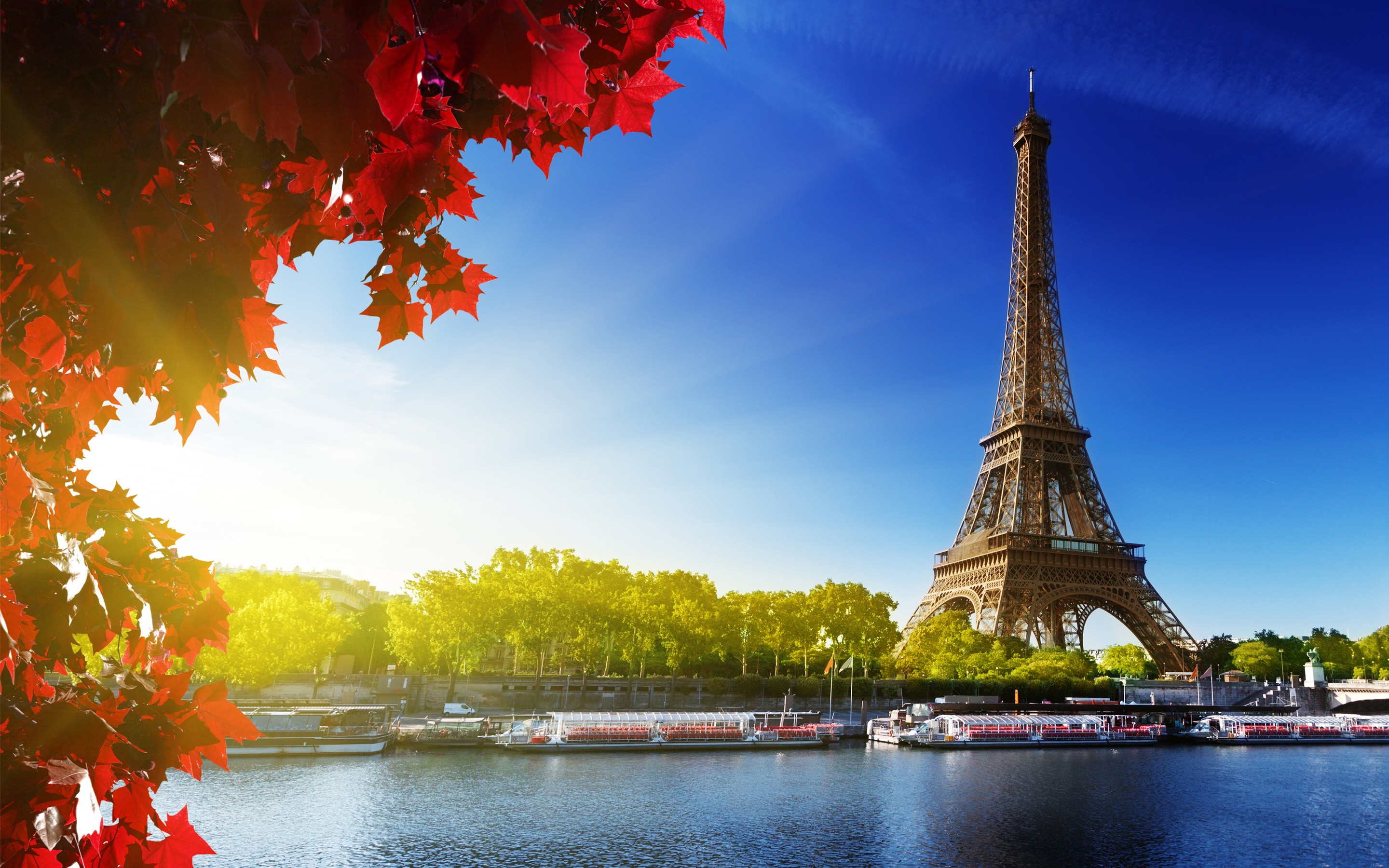 Eiffel Tower, City, Nature, France, Paris Wallpaper