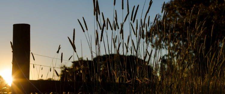 farm, Sunset, Grass, Fence, Summer HD Wallpaper Desktop Background