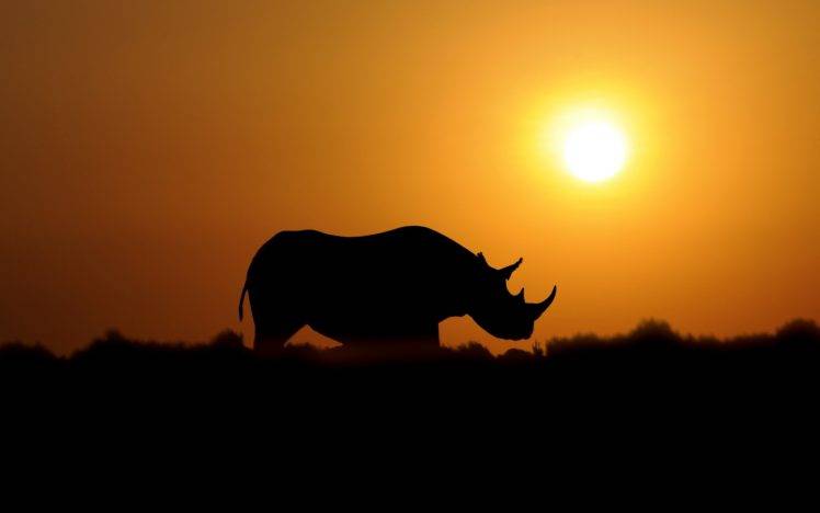 rhino, Sunset, Sepia, Outline, Sun HD Wallpaper Desktop Background