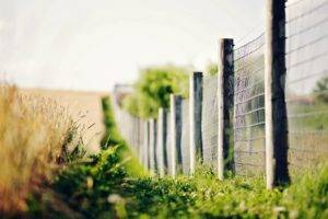 fence, Nature, Depth of field