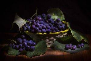 plants, Berries, Grapes