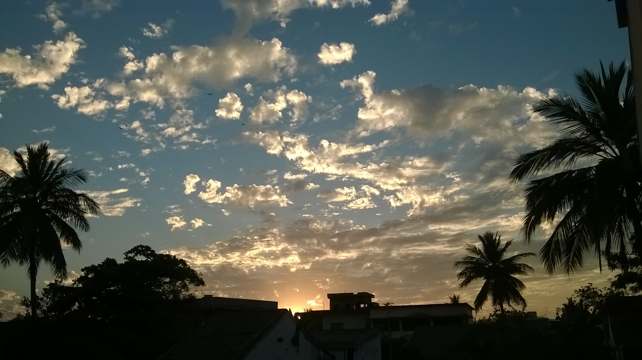 sunset Wallpaper