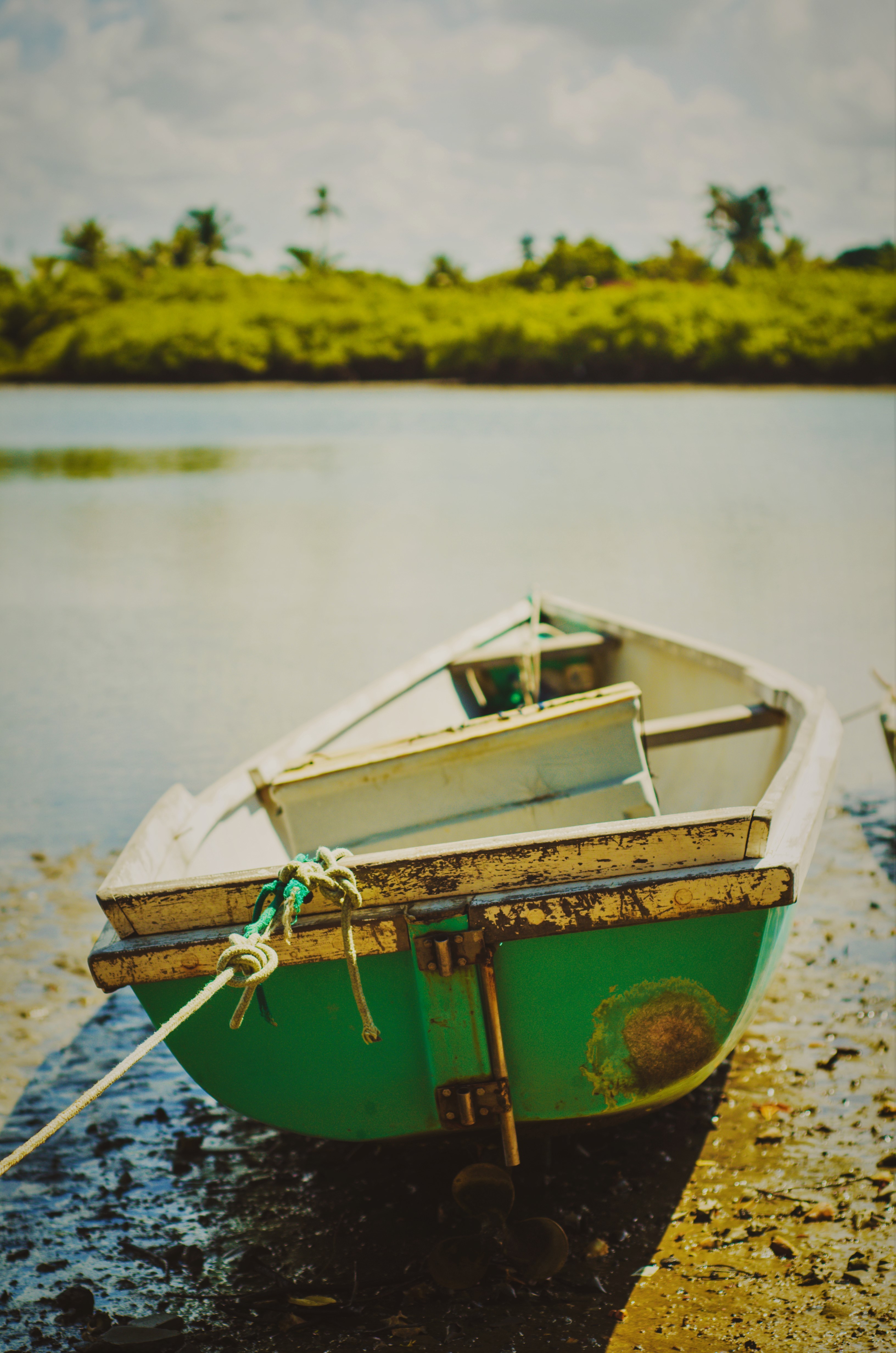 boat, Sea, Nature, Trees, Bokeh, Blurred Wallpaper