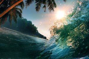 waves, Palm trees