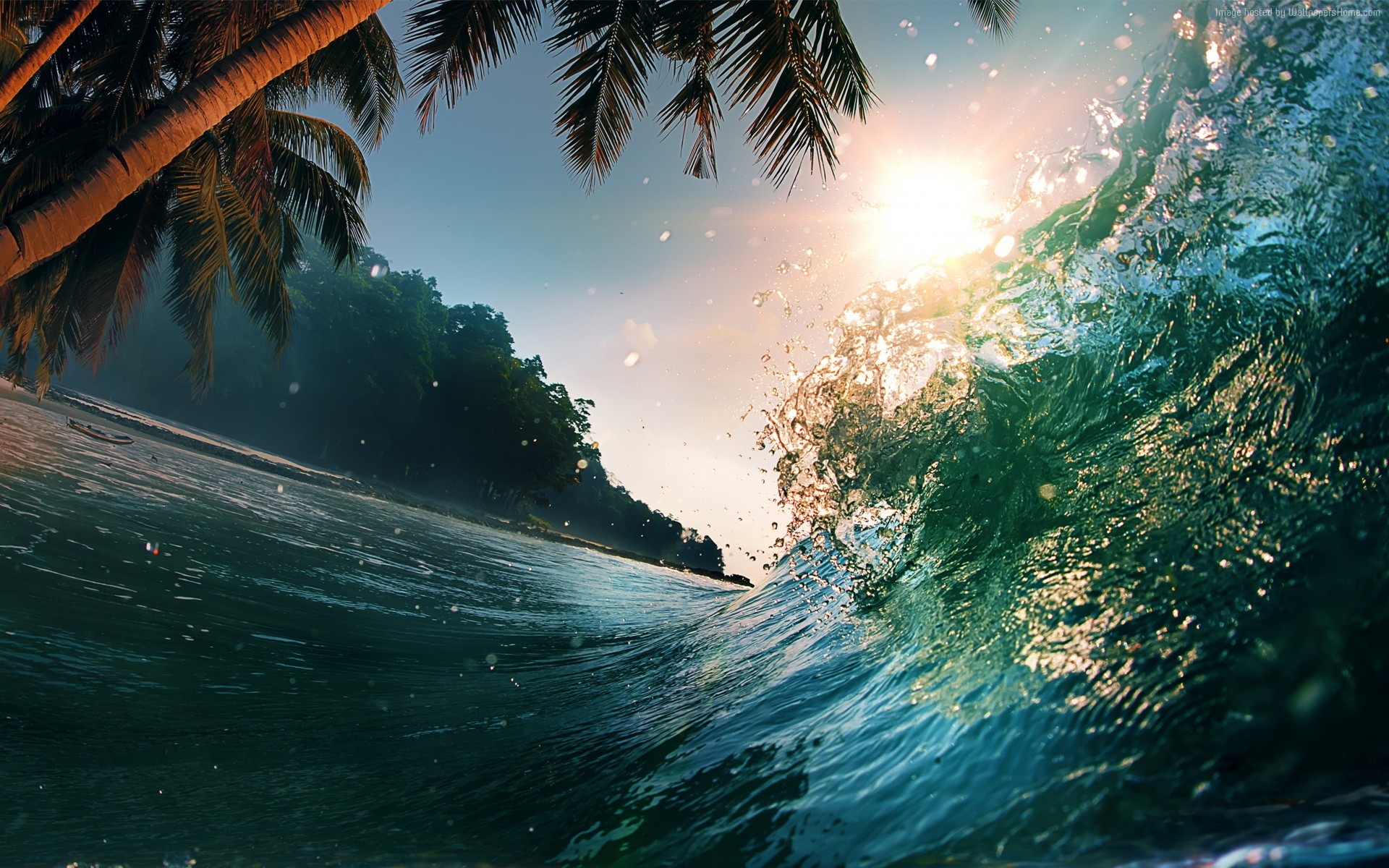 waves, Palm trees Wallpaper