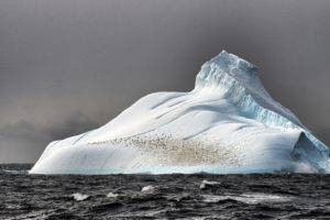 Arctic, Iceberg, Sea, Nature, Penguins
