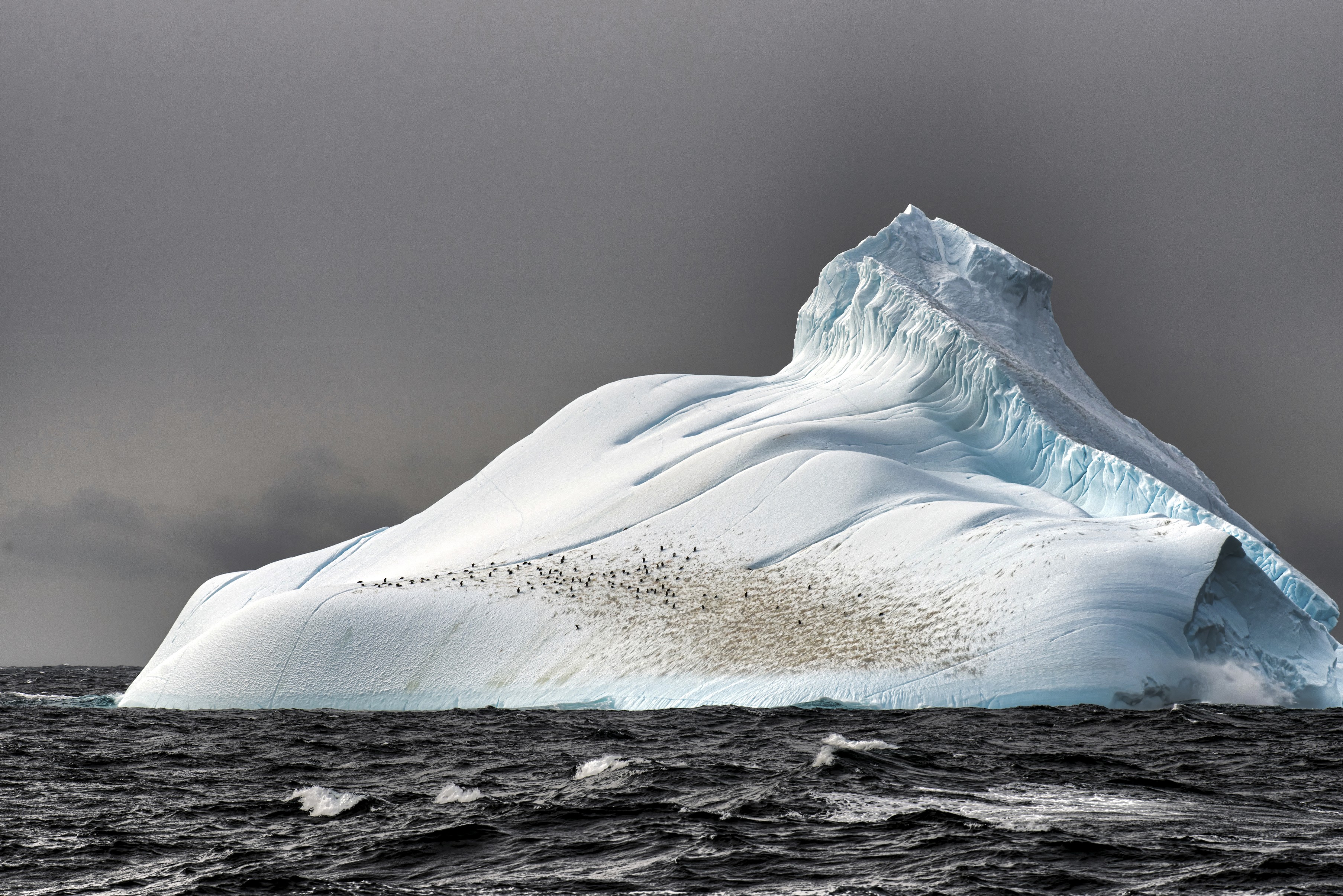 Arctic, Iceberg, Sea, Nature, Penguins Wallpaper