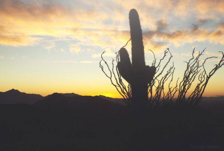Arizona, Sunset, Silhouette, Photography, Nature, Desert HD Wallpaper Desktop Background