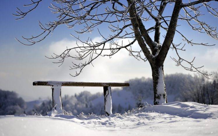winter, Bench, Snow, Trees HD Wallpaper Desktop Background
