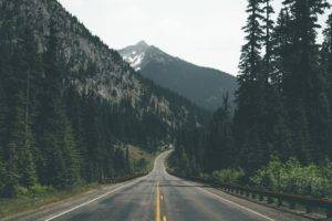 photography, Forest, Mountains, Road