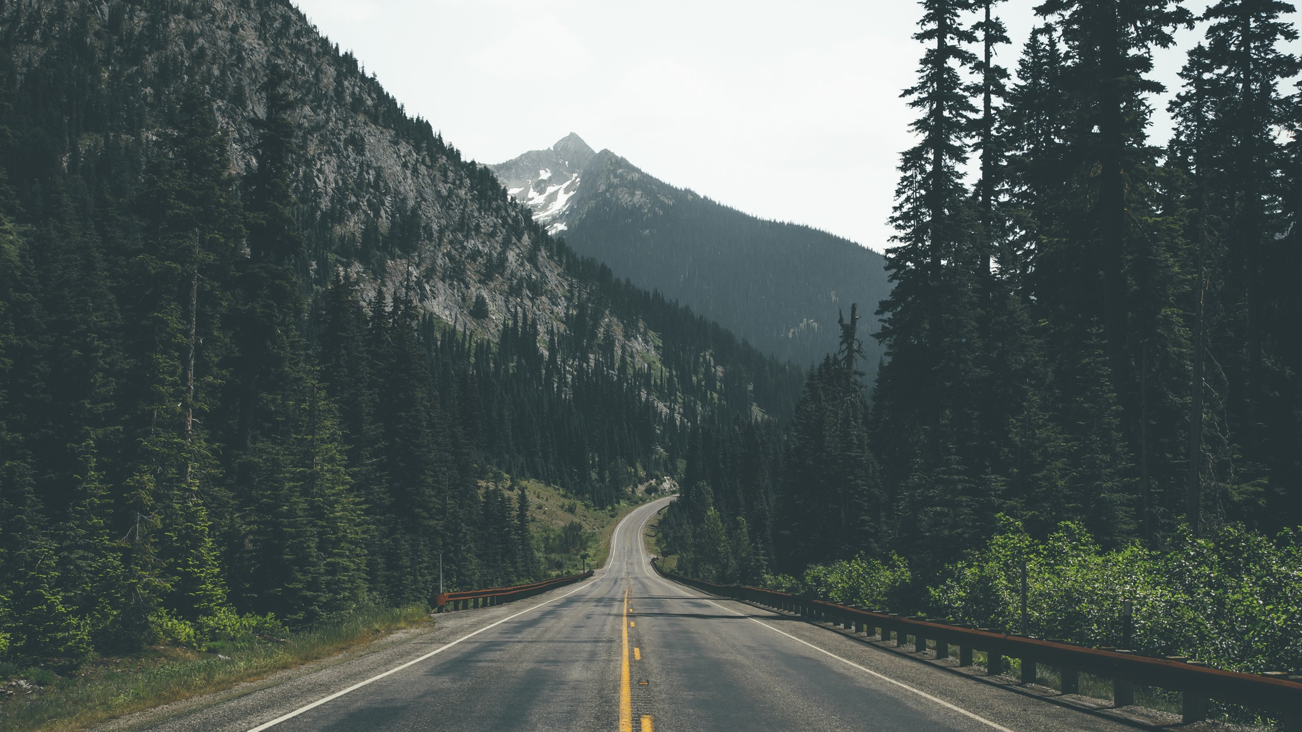 photography, Forest, Mountains, Road Wallpaper