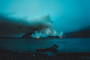1983, Forest, Fire, Nature, Sea, Photography, Vintage