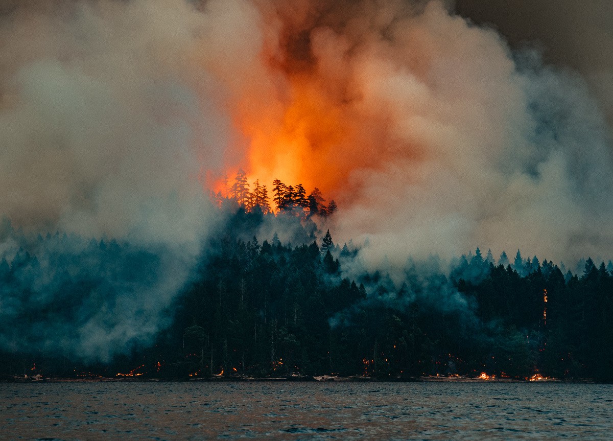 1983, Forest, Fire, Nature, Sea, Photography, Vintage Wallpaper