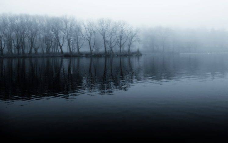 water, Nature, Trees, Mist HD Wallpaper Desktop Background