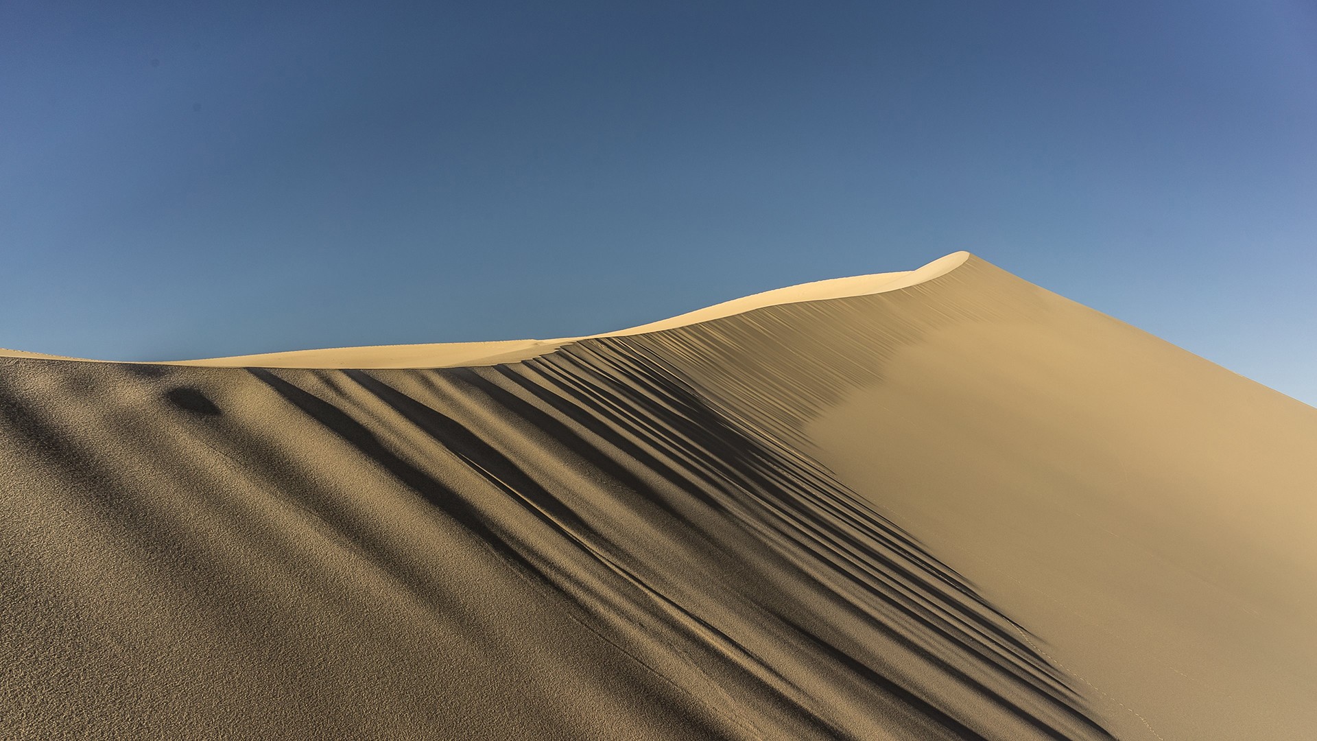 nature, Dune, Sand Wallpaper