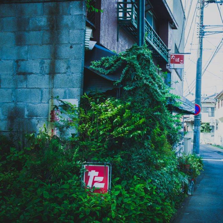 Japan, Nature, Street, City HD Wallpaper Desktop Background