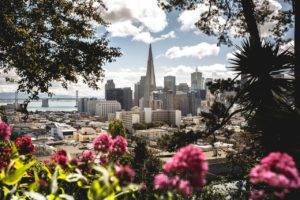 nature, City, San Francisco, USA