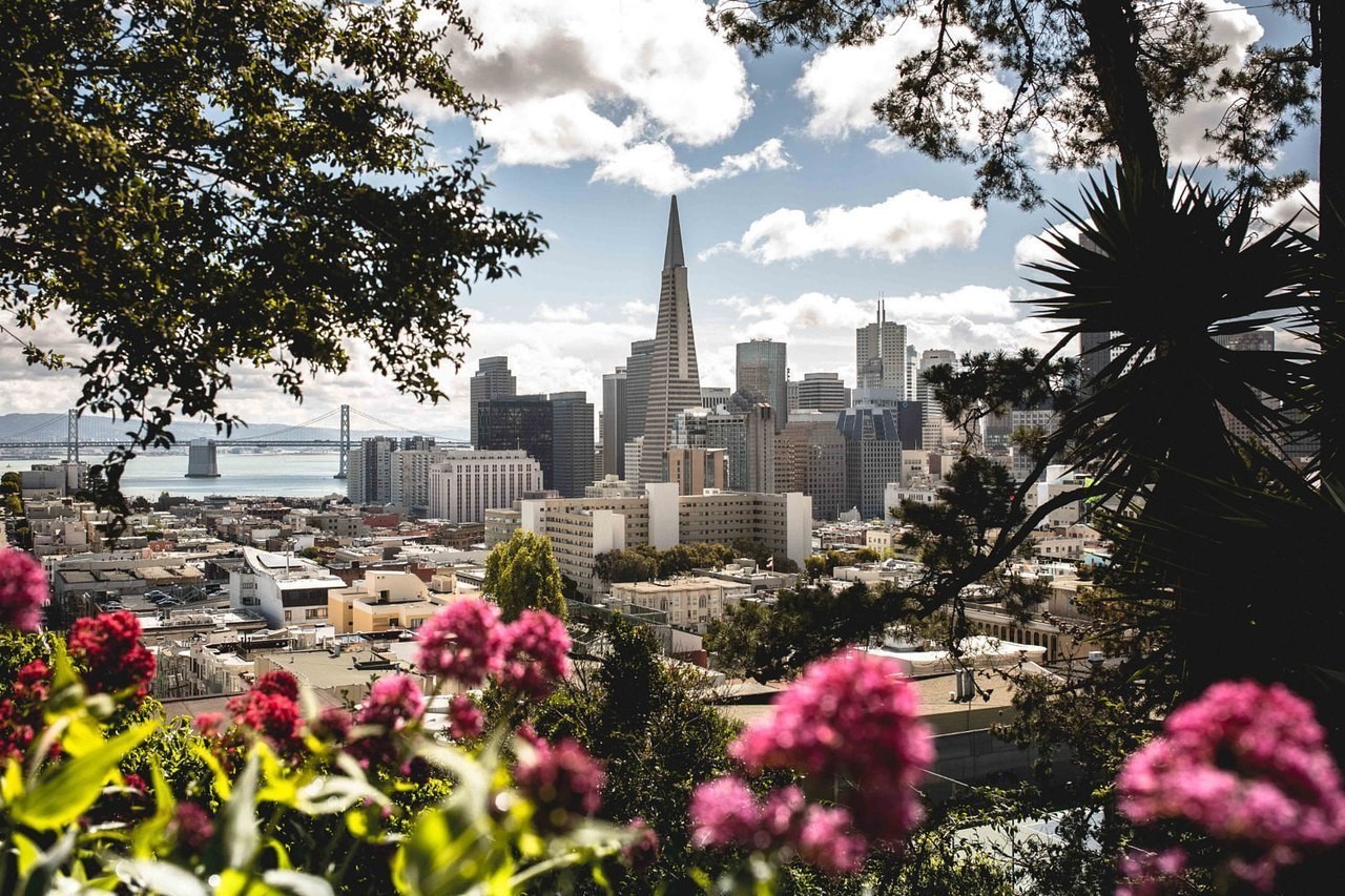 nature, City, San Francisco, USA Wallpaper