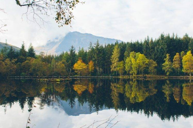 Scotland, Nature, Forest, Water, Lake HD Wallpaper Desktop Background