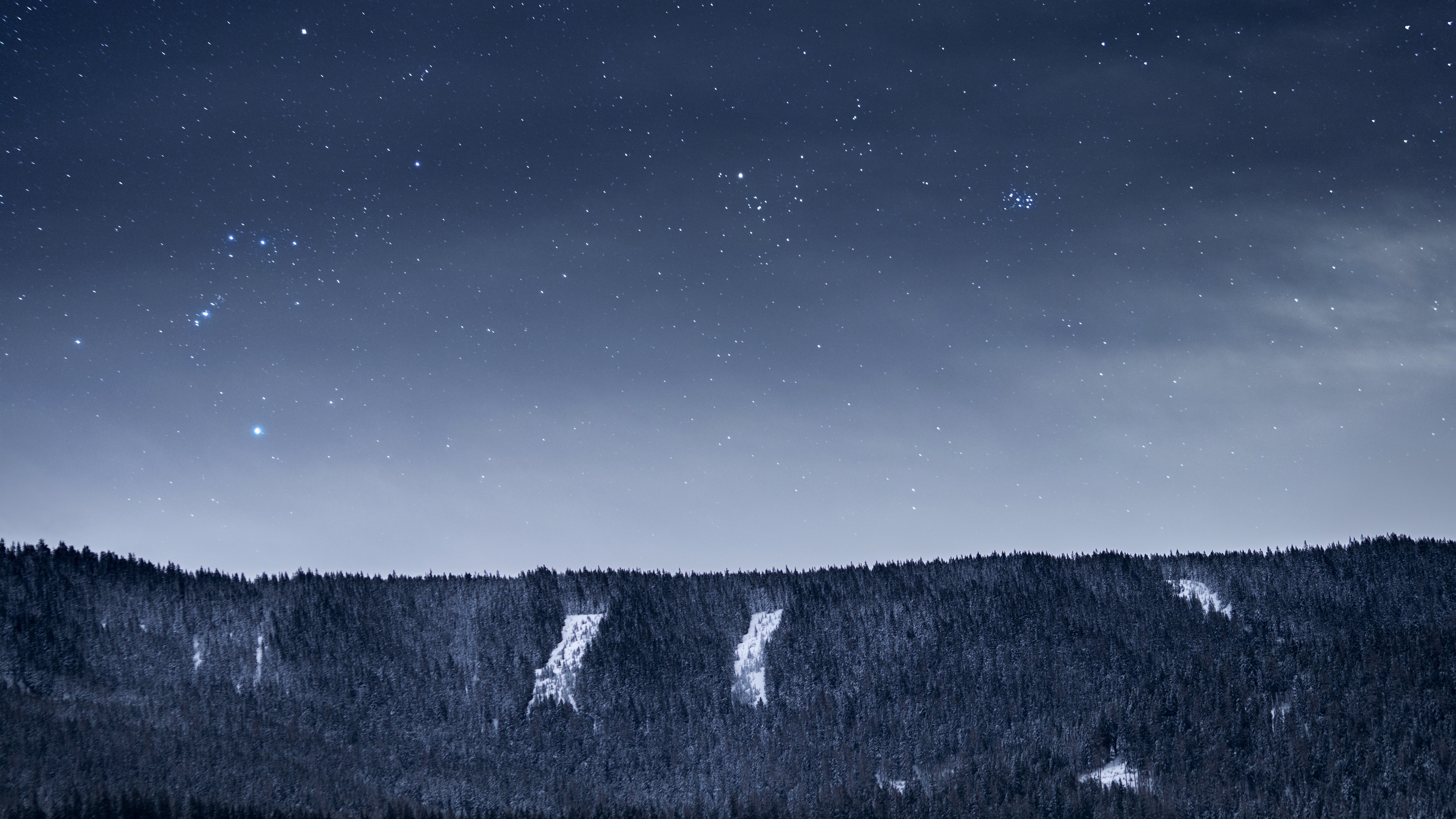 night, Forest, Snow, Stars, Cold, Sky Wallpaper