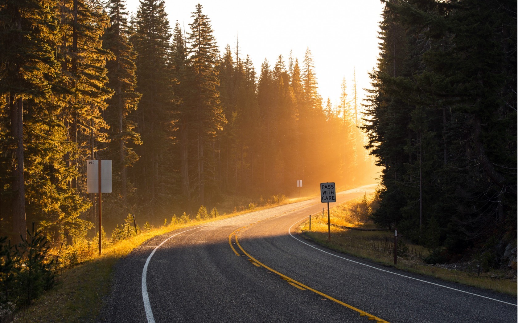 trees, Forest, Road, Sun rays, Nature Wallpaper