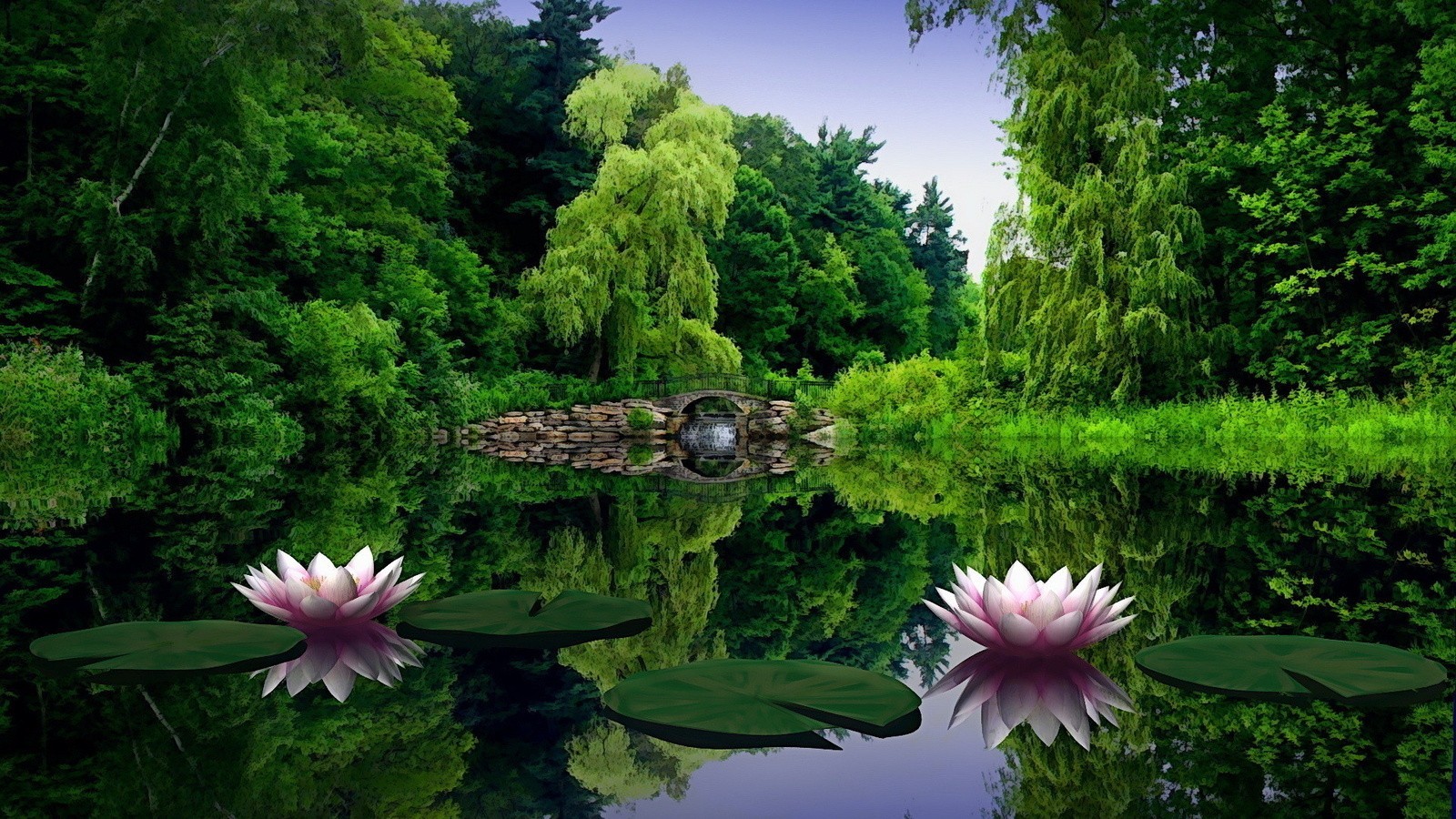 nature Wallpaper