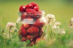 macro, Grass, Strawberries