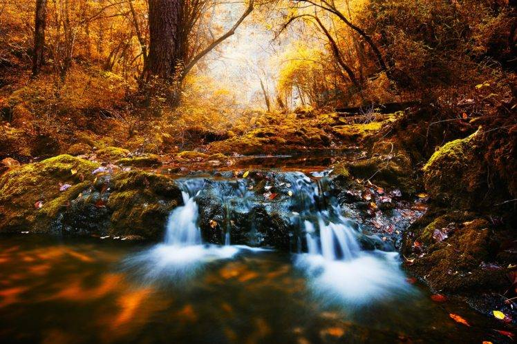 forest, River HD Wallpaper Desktop Background