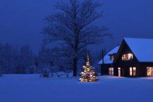 winter, Snow, White, Blue, Lights, Christmas, Holiday, Hut, House, Trees, Christmas Tree, Dark, Panorama, Ultrawide