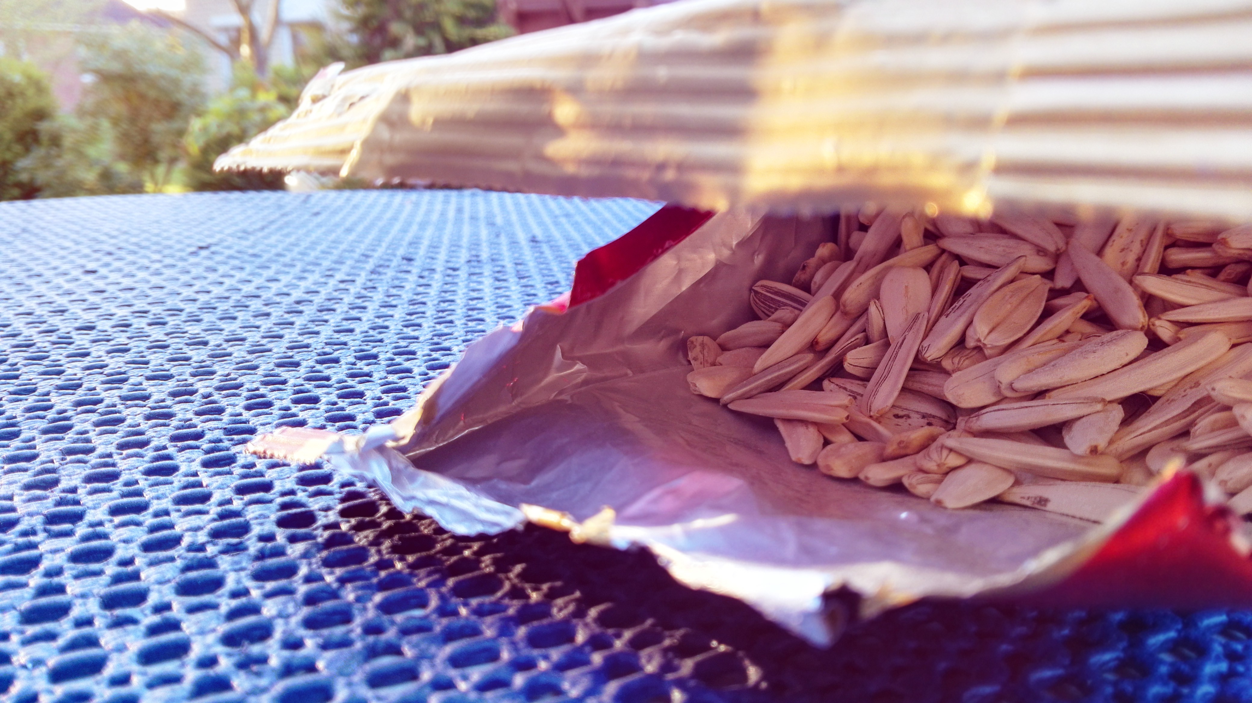 sunflowers, Seeds, Summer, Smoking, Smoke, Table, Snacks, Nature Wallpaper