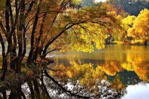 fall, Nature, Lake