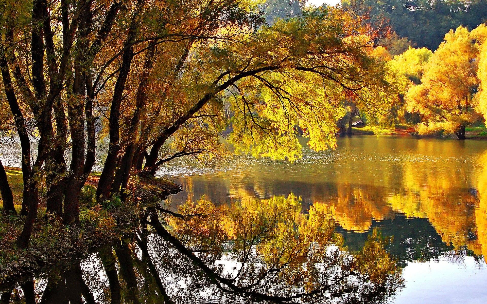 fall, Nature, Lake Wallpaper