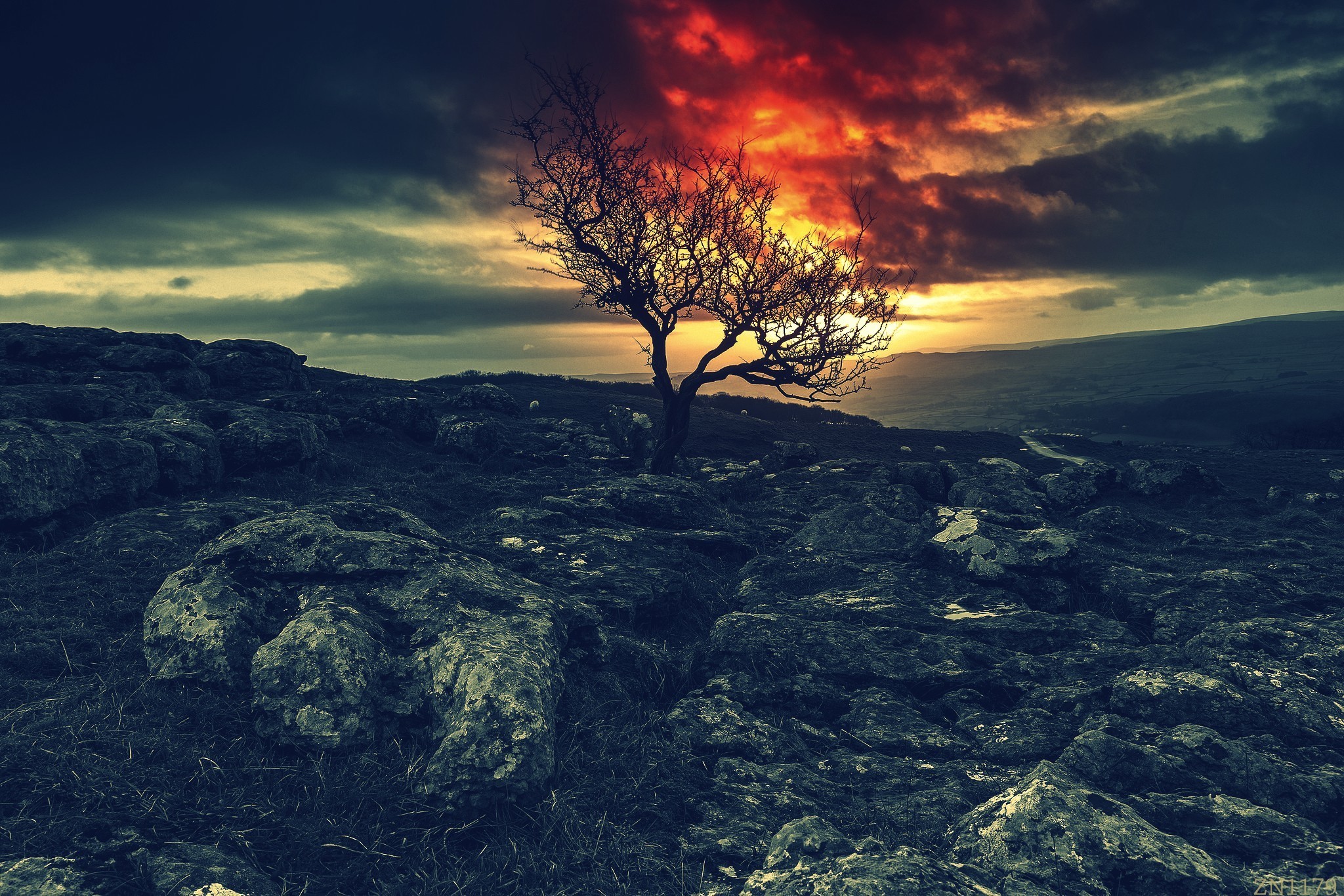 sky, Red, Night, Rocks, Trees, Land of the Lost Wallpaper