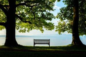 photography, Nature, Bench, Trees, Alone, Rest, Sea, Far view