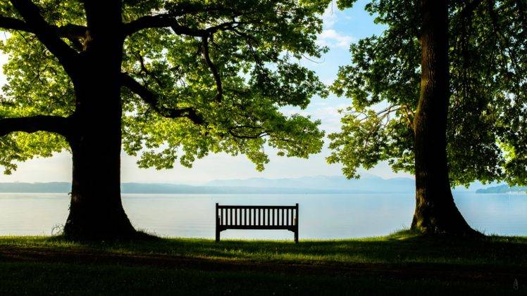 photography, Nature, Bench, Trees, Alone, Rest, Sea, Far view HD Wallpaper Desktop Background
